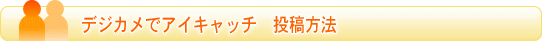 �ǥ�����ǥ�������å������ˡ