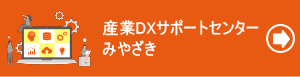 ����DX���ݥ���Хʡ�